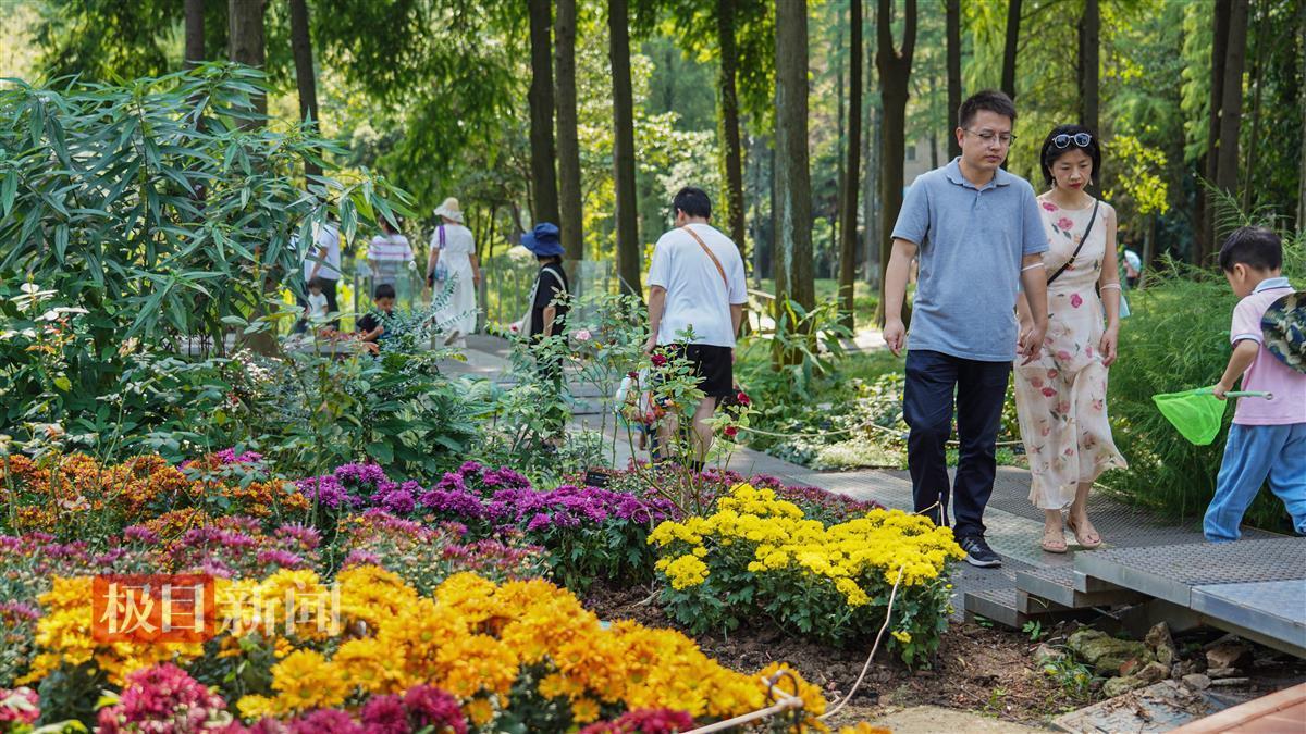 宝运莱安卓手机版登录